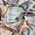 Conveyancing Fees